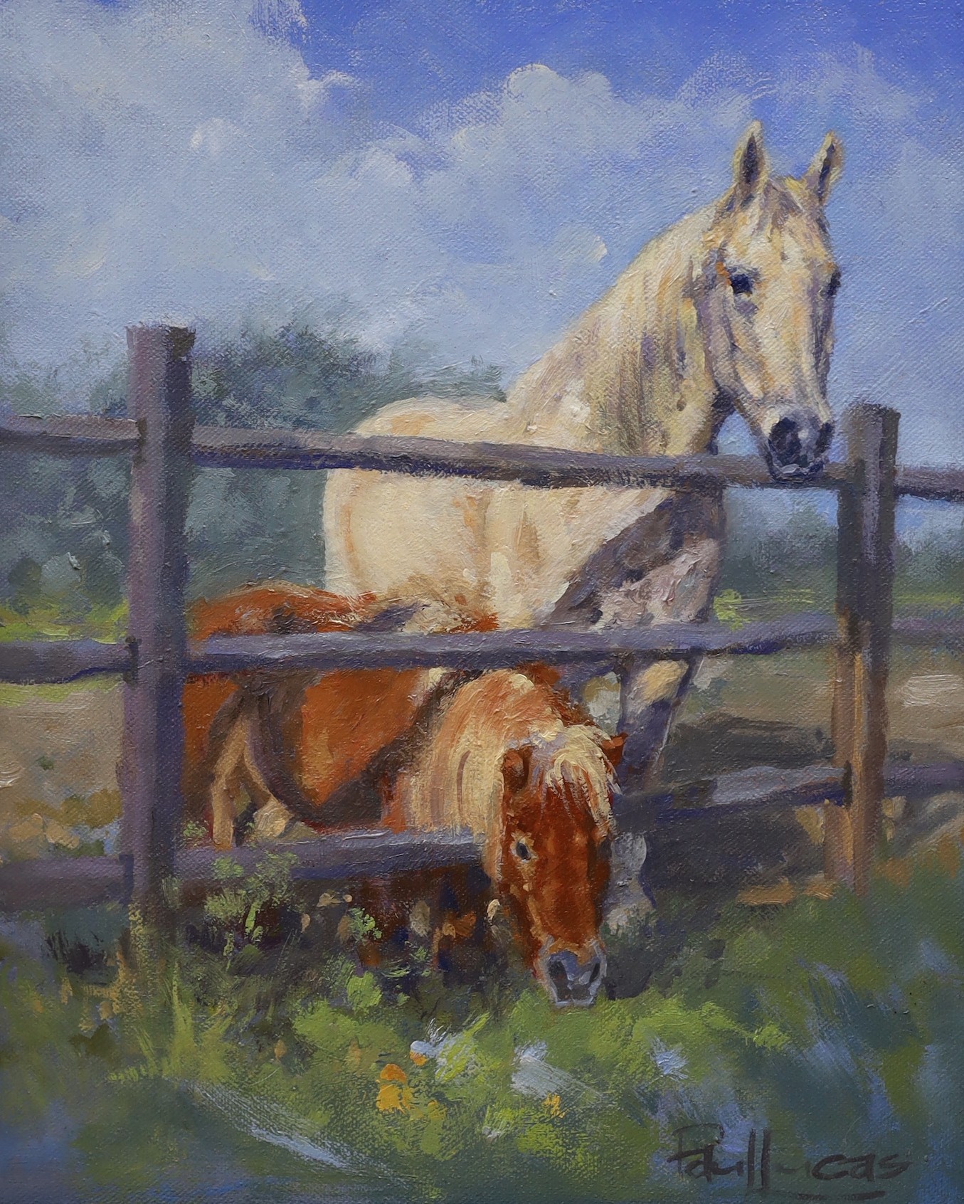 Paul Lucas ASEA, oil on canvas, Ponies beside a fence, signed, 29 x 24cm